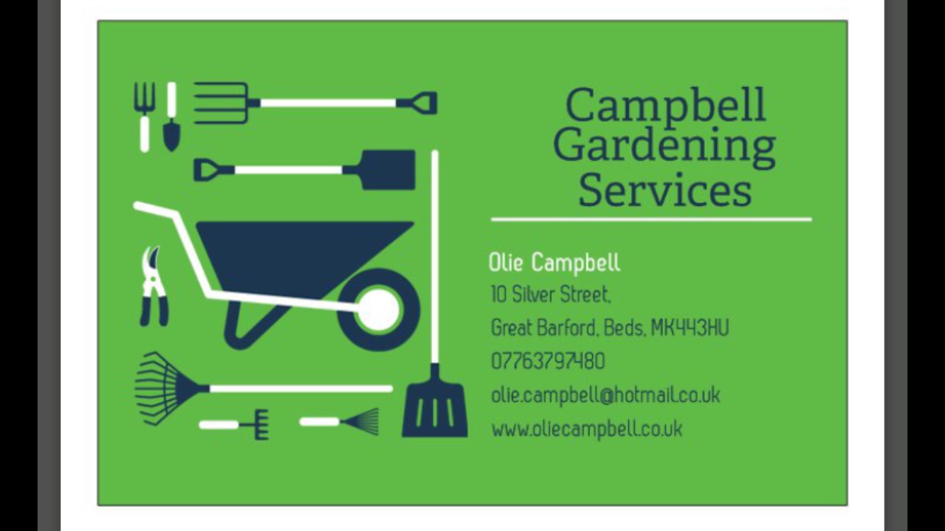 olie campbell
